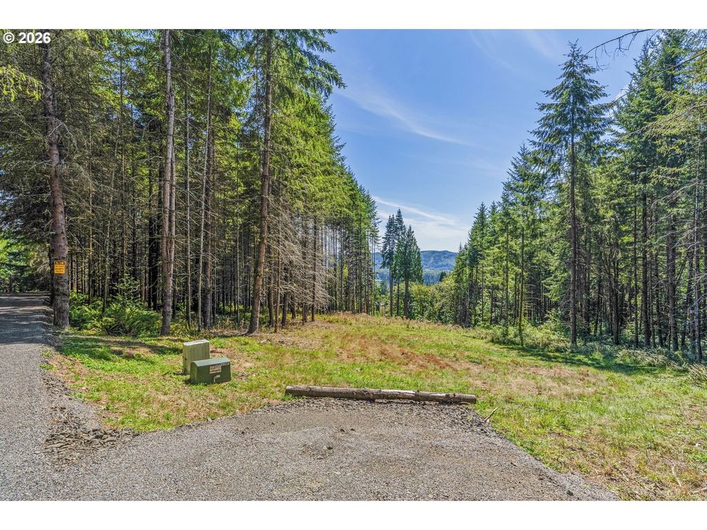 Old Tree Farm Dr 1, Longview