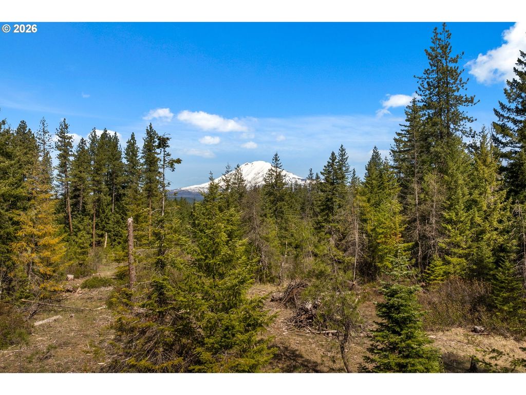 Lonesome Pines Dr 4, Trout Lake
