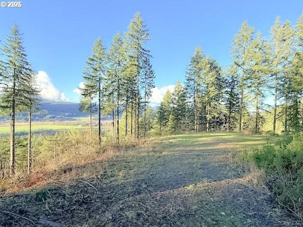 Alder Branch Rd, Springfield