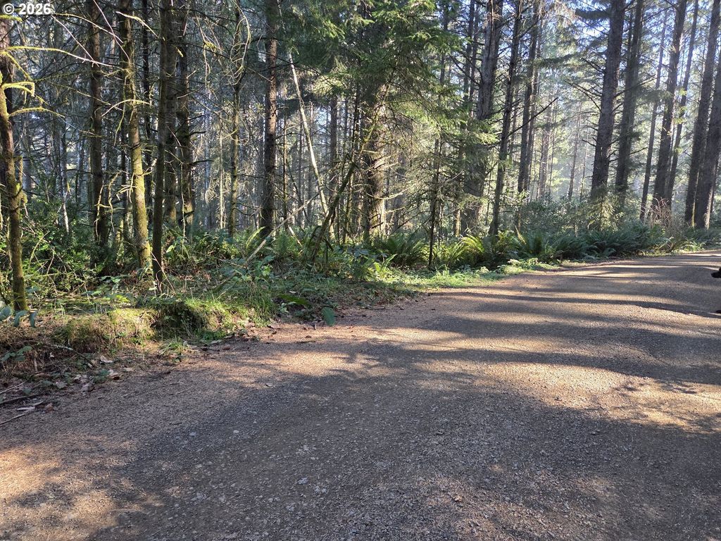 Greggs Creek Rd 300, Gold Beach