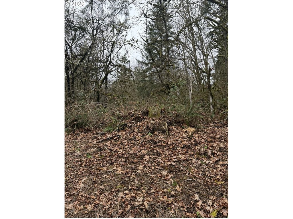 Hutchinson Rd, Rainier