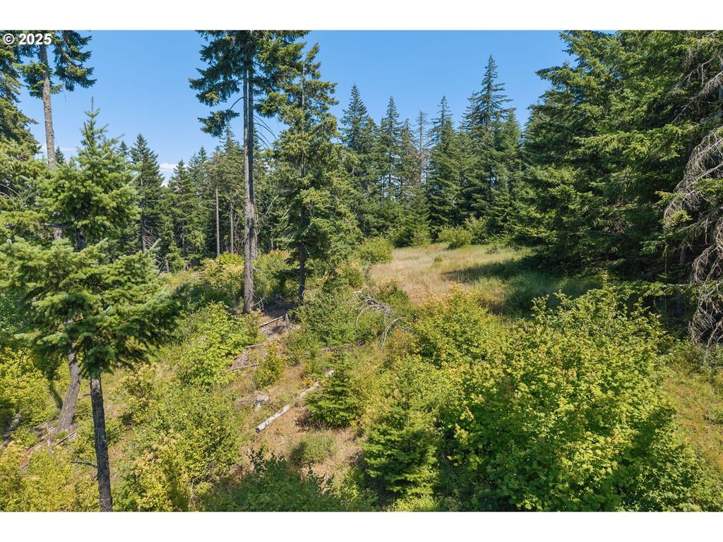 15 Brookside Dr, White Salmon