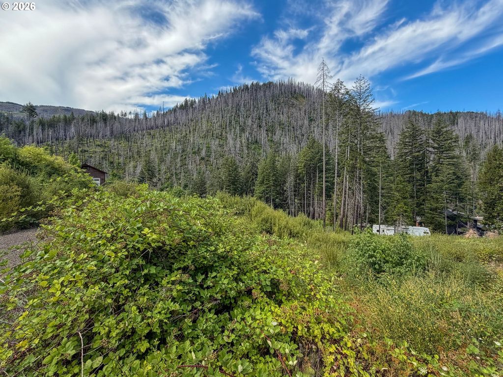 Evergreen Ln, Idleyld Park