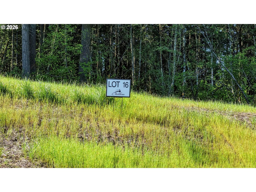 Carmen Sylvia Dr Lot 16, Kalama