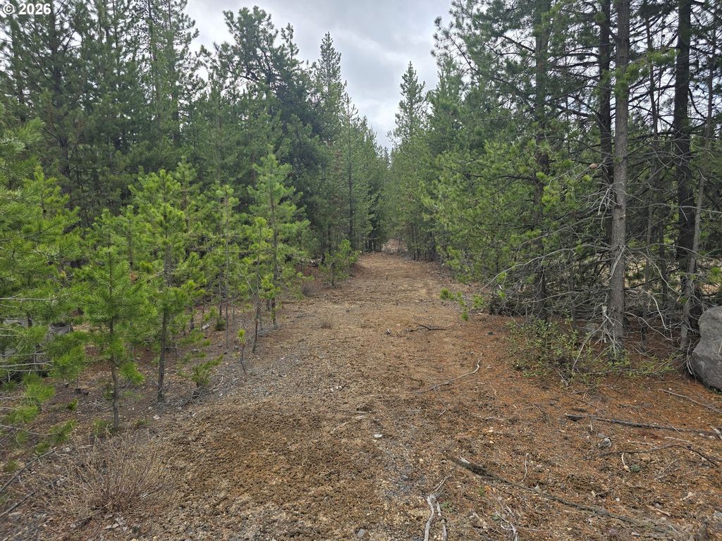 59 Royce Mountain Way, Crescent Lake