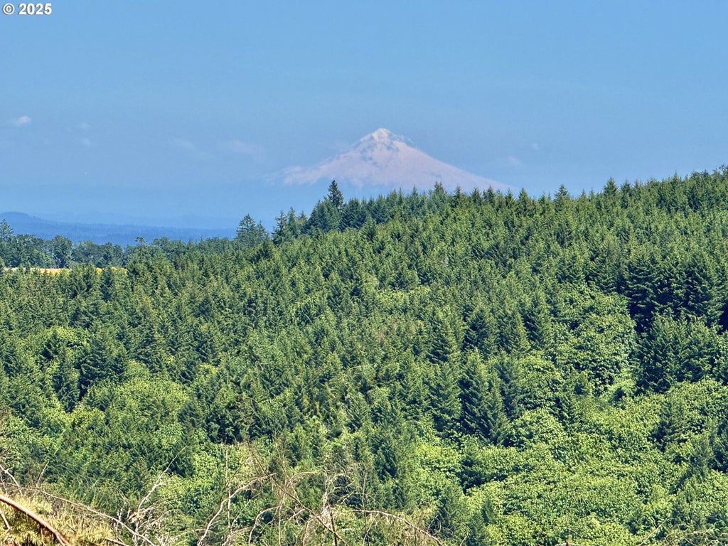 11894 Sw Dupee Valley Rd, McMinnville