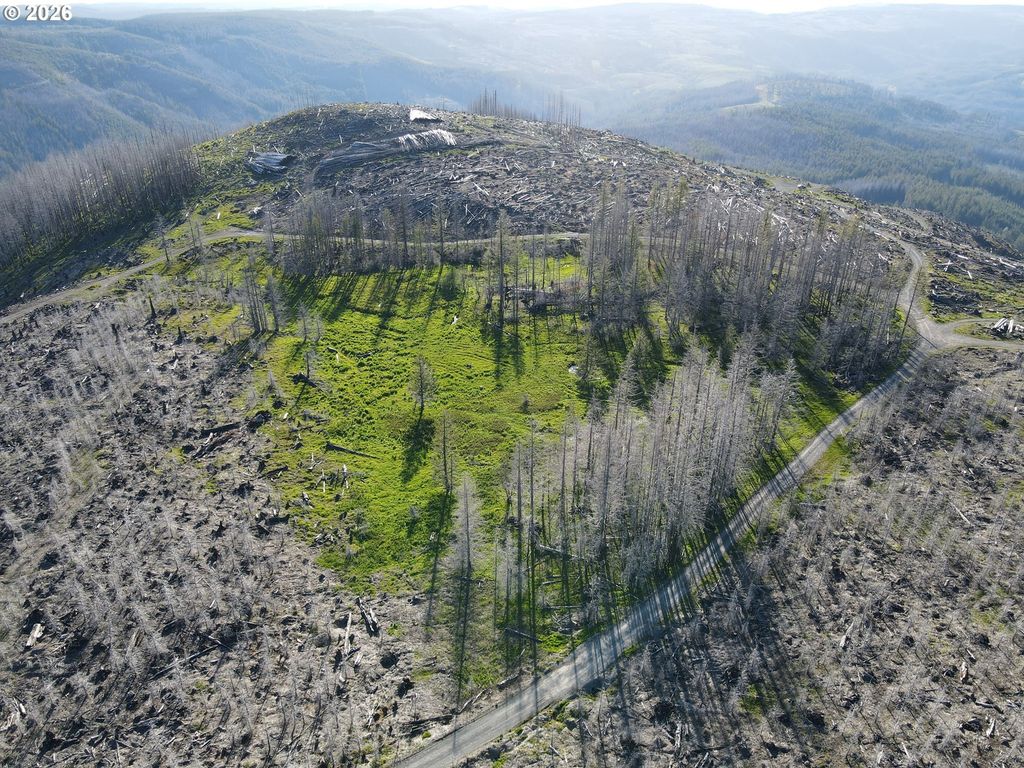 2 Middle Horse Creek Rd, Molalla