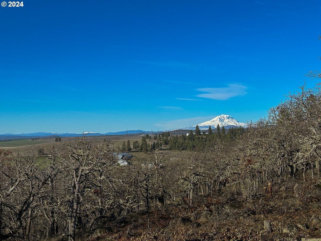 33 Rose Anns Way, Goldendale