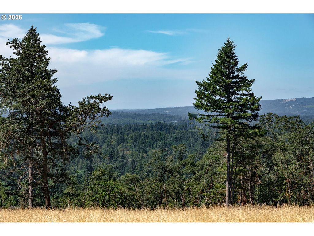 28797 Sw Petes Mountain Rd, West Linn