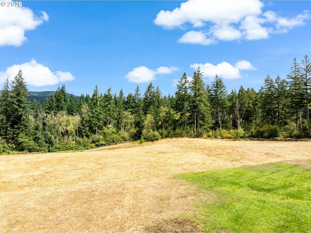 1910 Ne Brown Rd, Washougal