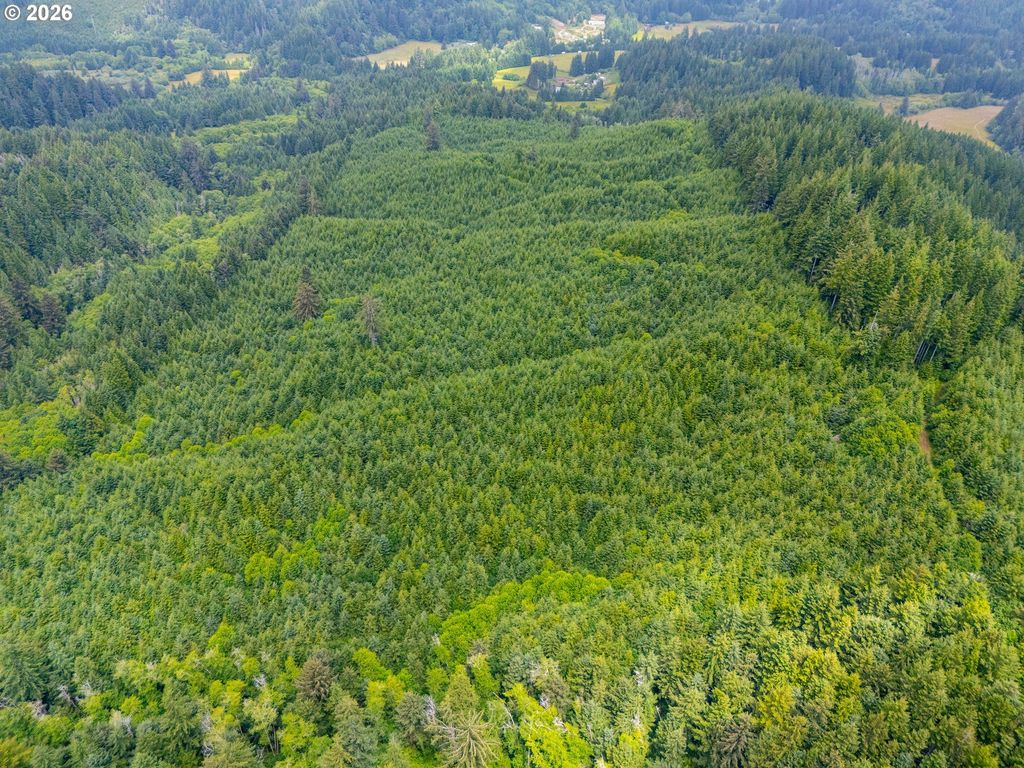 Usfs 5591, Yachats