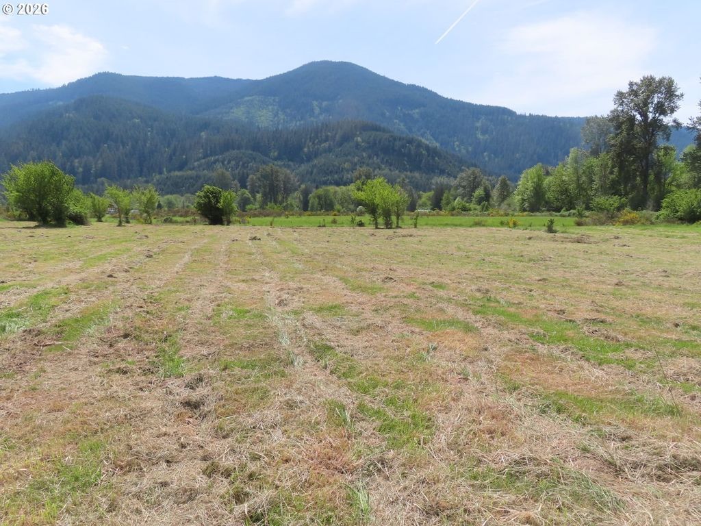 295 River Ranch Rd, Randle