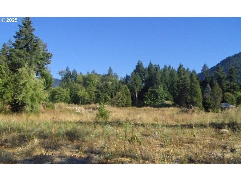 48382 Roaring Rapids Way, Oakridge