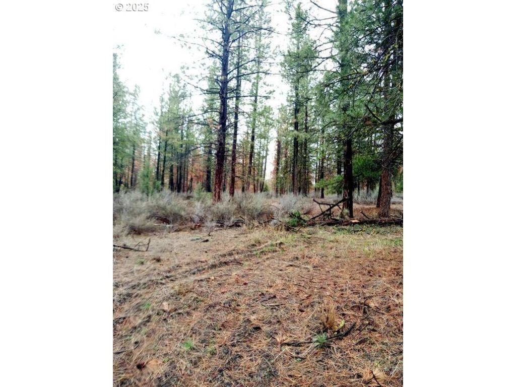 1 Forest Rd 9715, Chiloquin