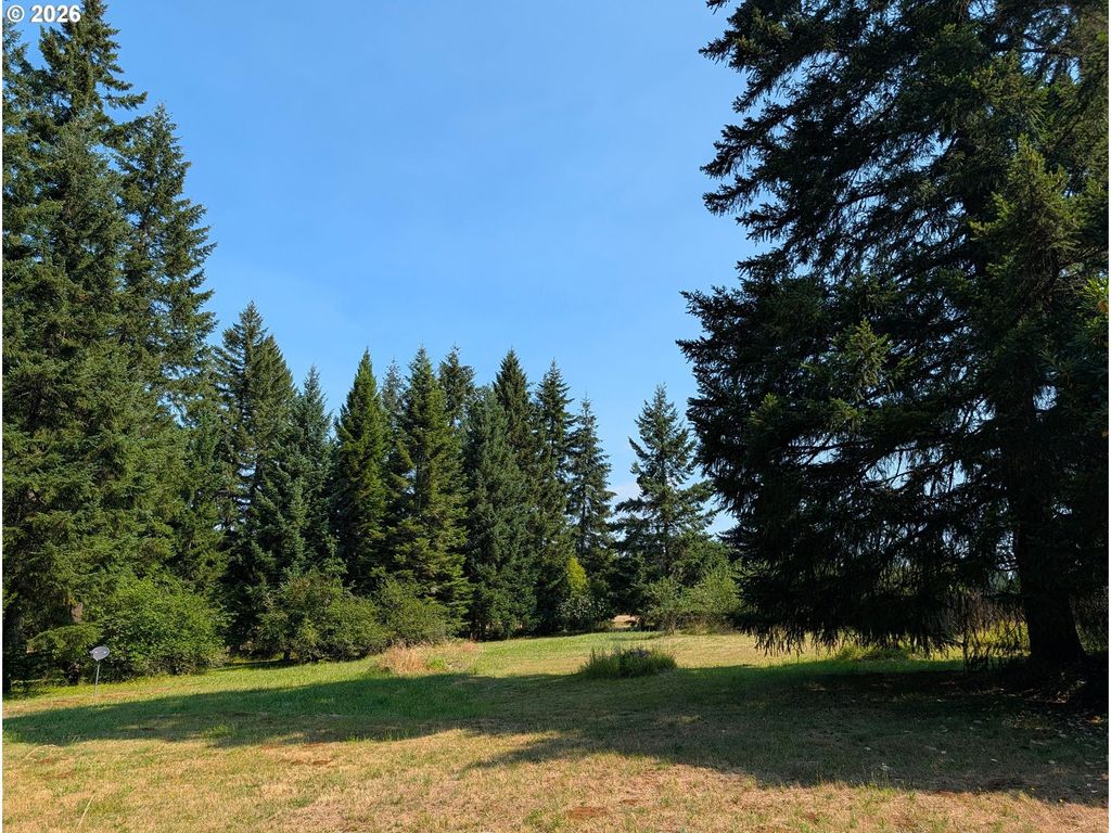 49241 Mountain View Rd, Oakridge