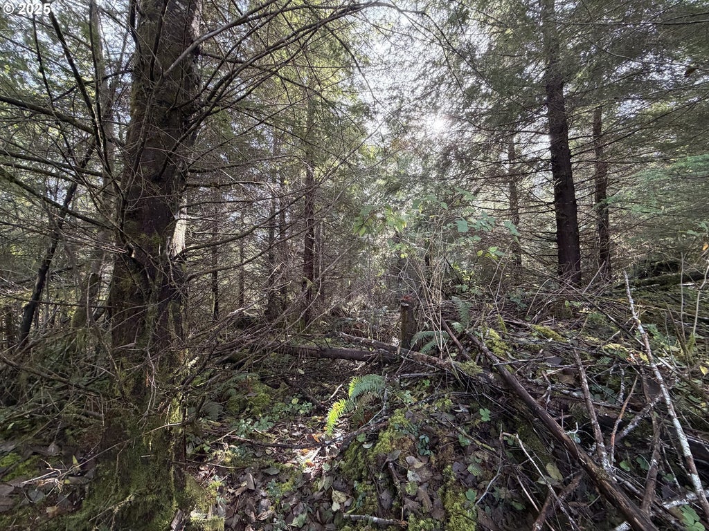 Necanicum Hwy, Seaside