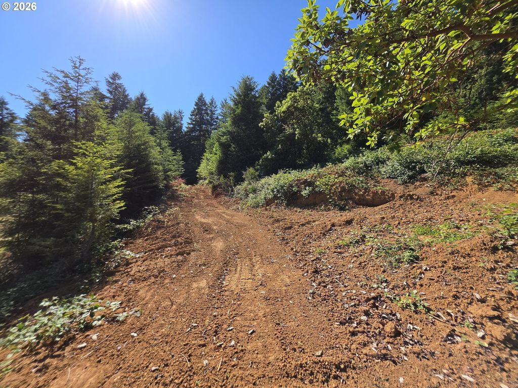 25797 Siuslaw River Rd, Lorane