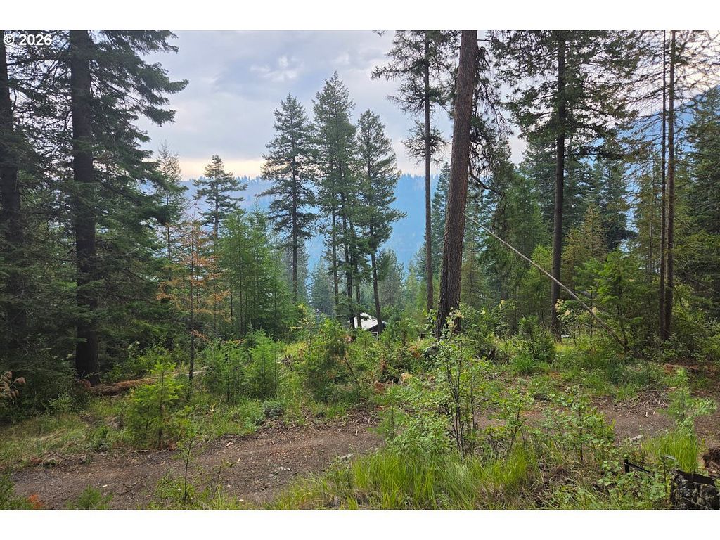 Chipmunk Lane, Wallowa Lake
