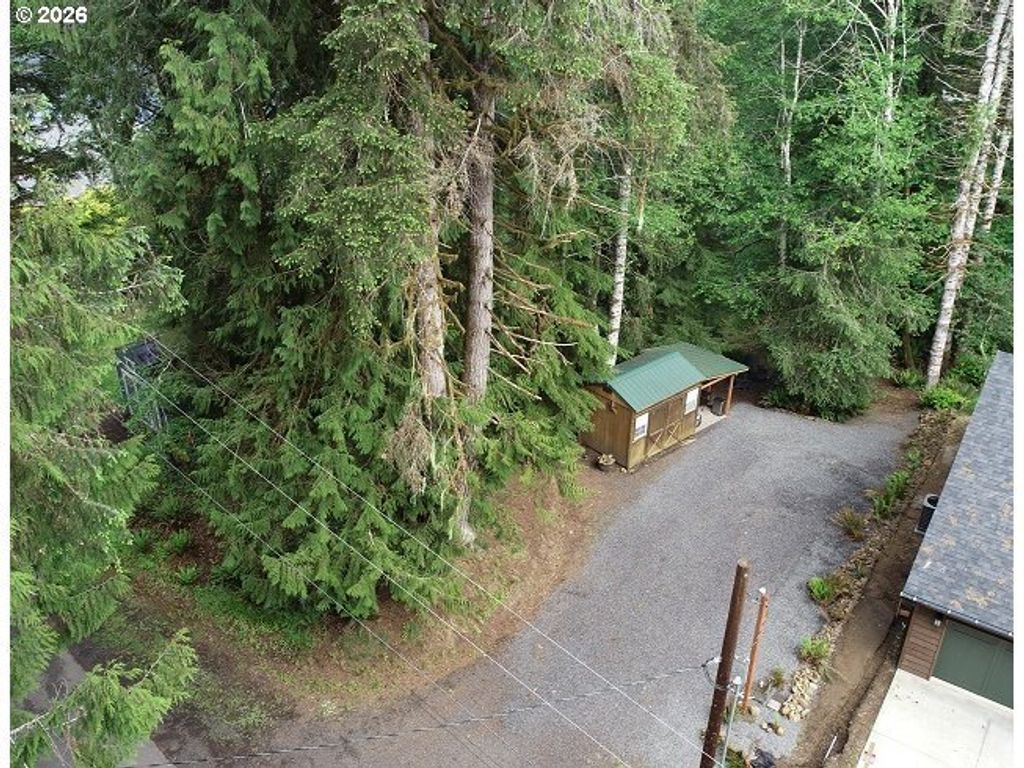 9857 Beach Dr, Birkenfeld