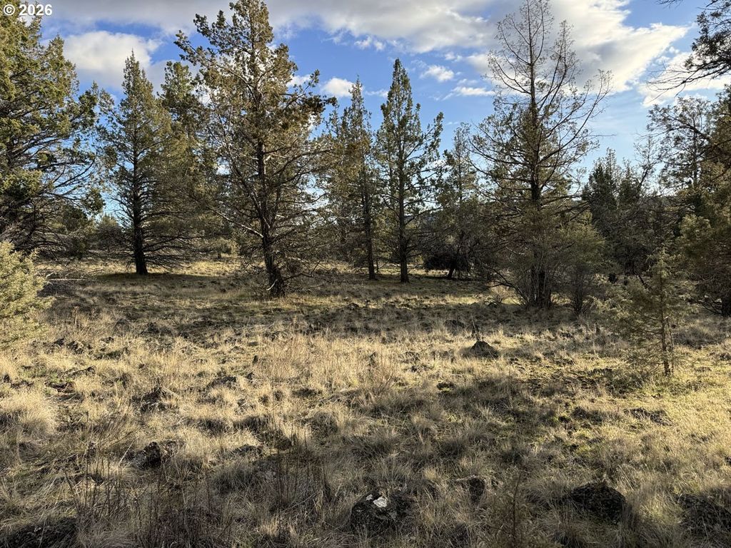 Canvasback Dr 35, Bonanza