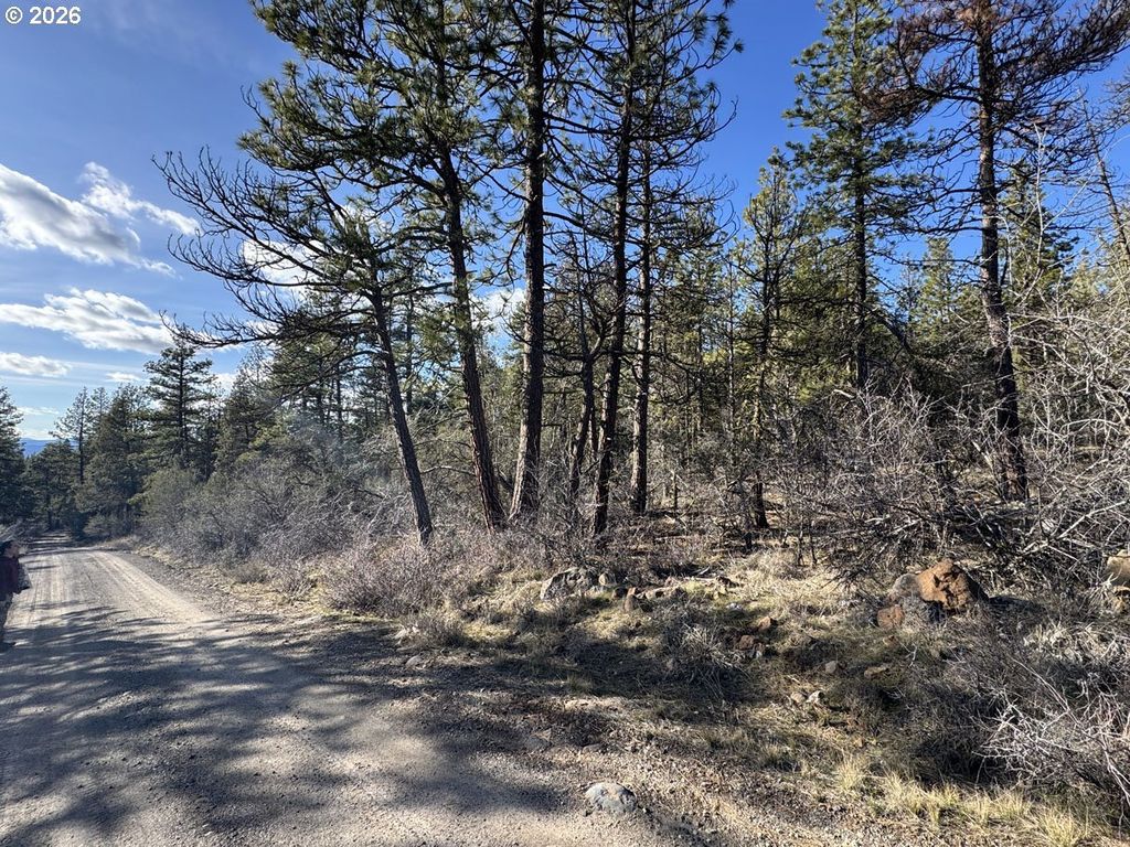 Badger Lane, Bonanza