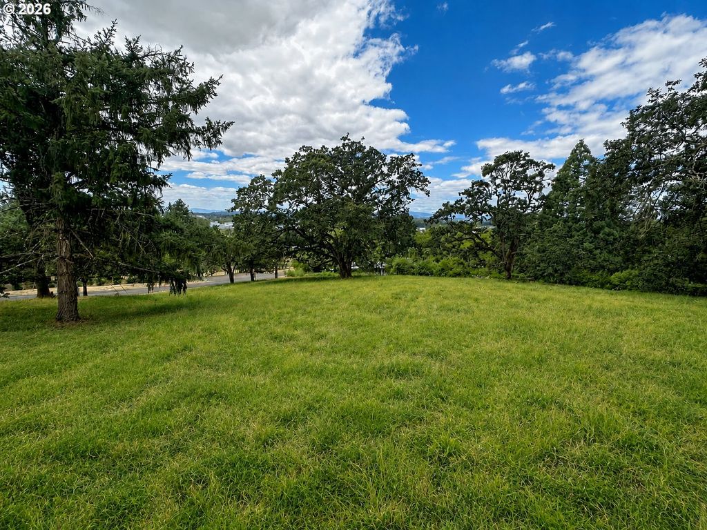 Ne Sunnyview Dr, Albany
