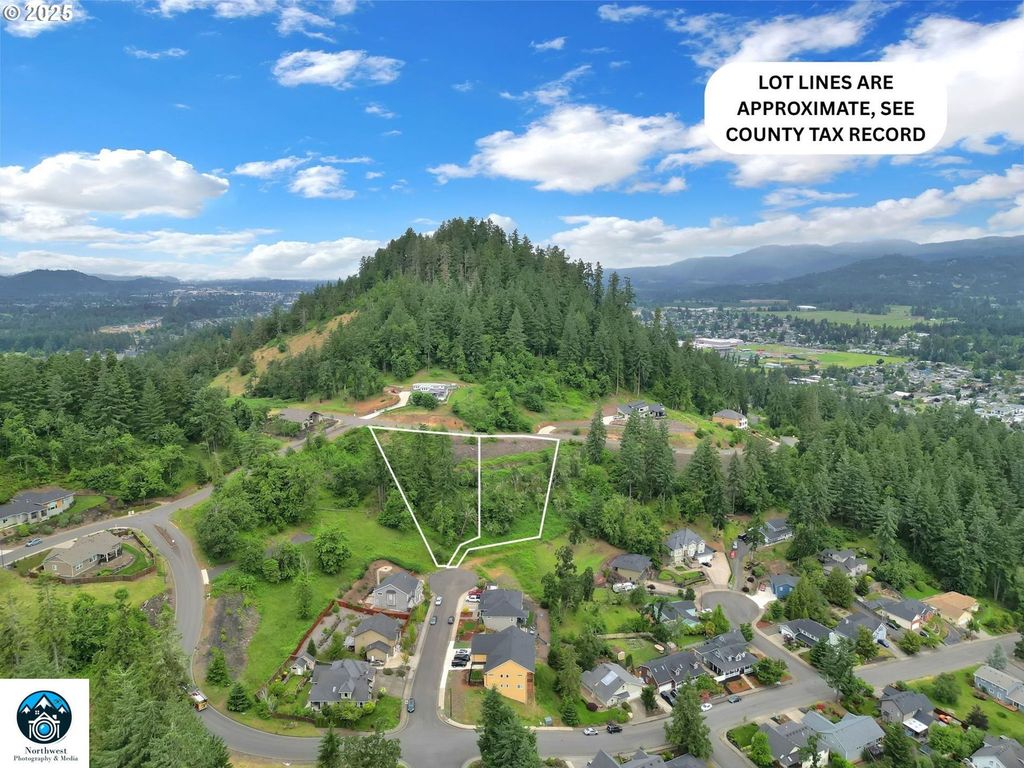 Forest Ridge, Springfield