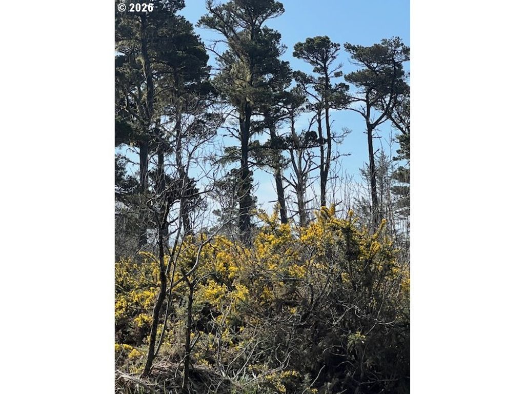 00 18th St Sw, Bandon