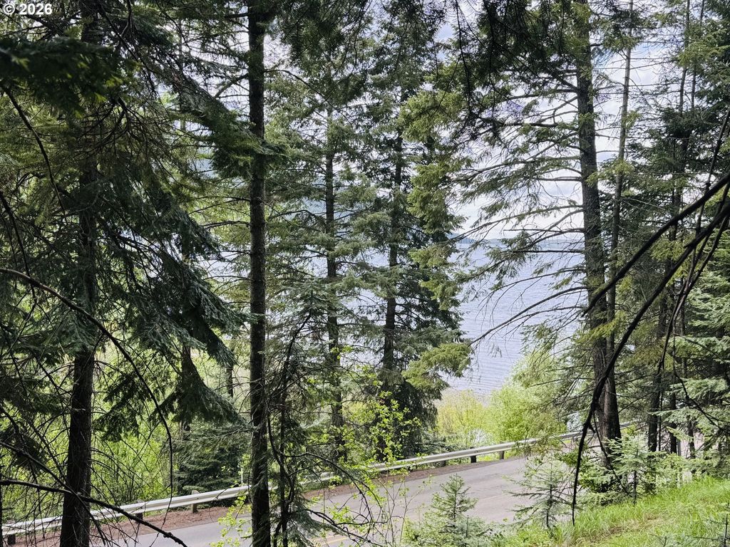 Forest Dell Rd, Joseph
