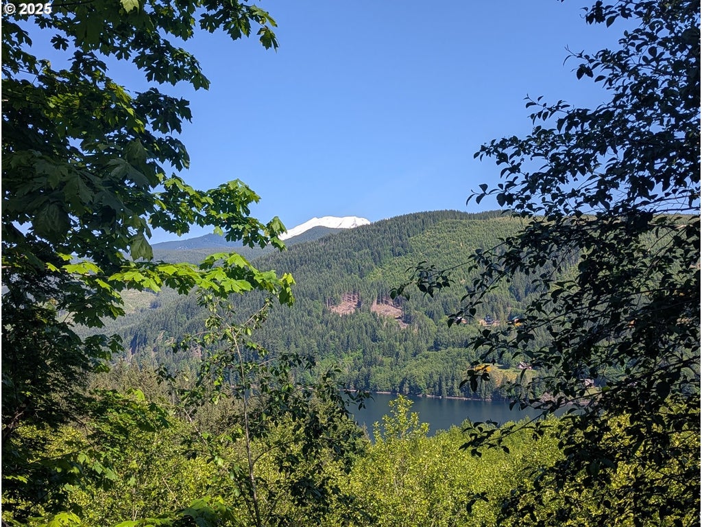 0000 Parcel 0706340003030, Cougar