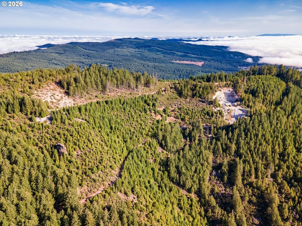 Fireclay Rd, Cottage Grove