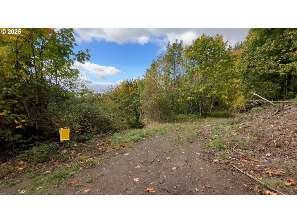 239 Columbia View Dr, Woodland
