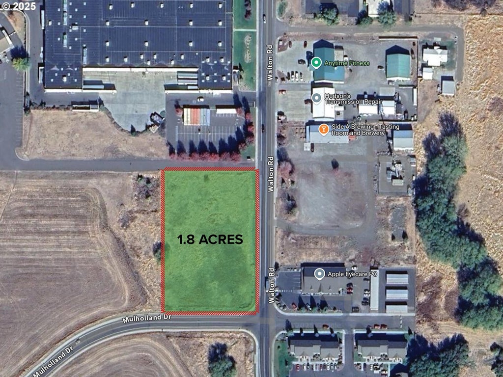 Walton Rd, Island City