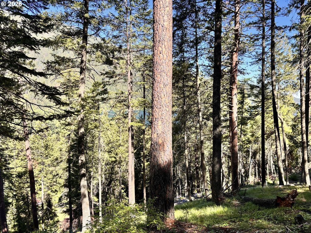 Arapahoe Rd, Wallowa Lake