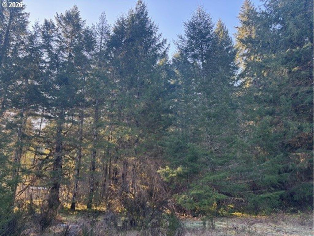 Brice Creek Rd, Cottage Grove