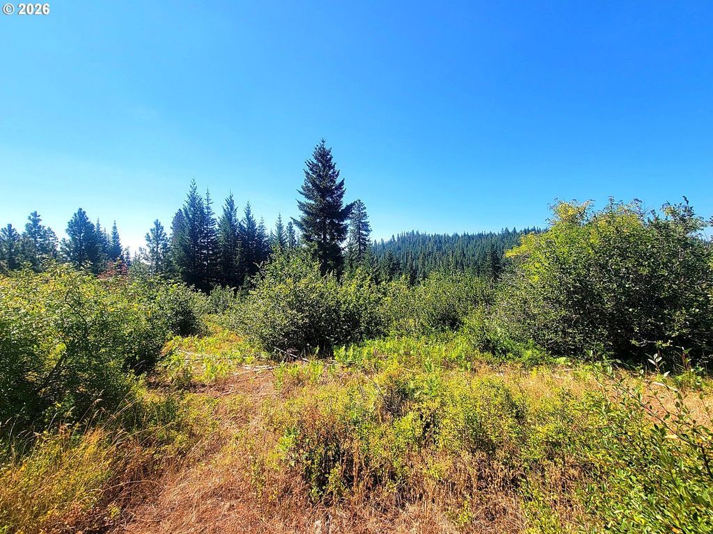 1 Simcoe Mtn Rsrv, Goldendale