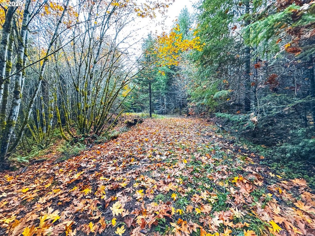 La Duke Rd Tl105, Westfir