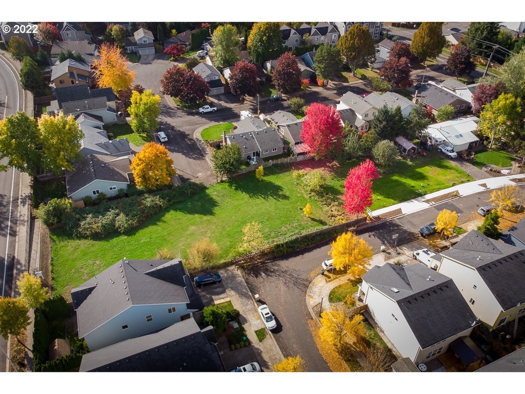 Waterleaf, Beaverton