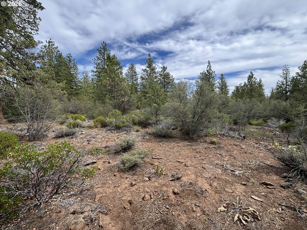 Kildeer Dr, Bonanza