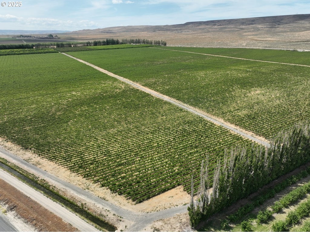 Wahluke Rd Sw, Mattawa