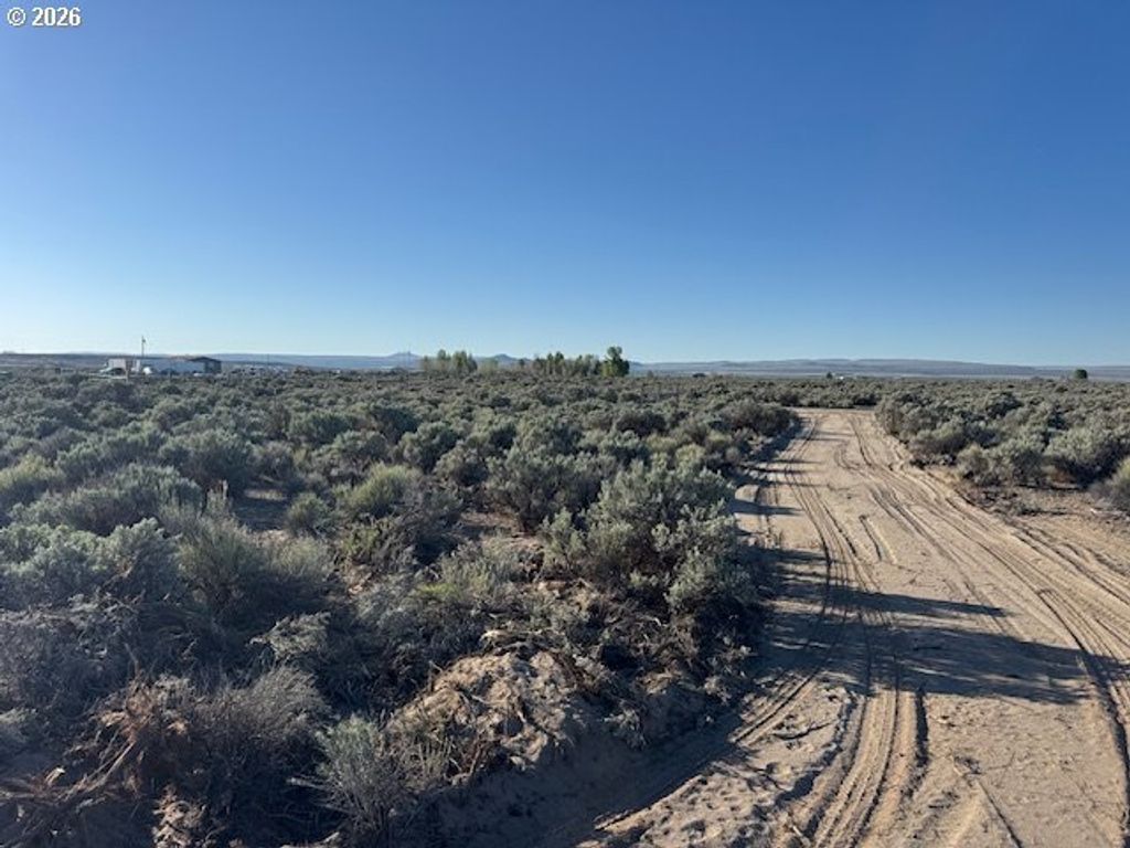 Bark Loop 3000, Silver Lake