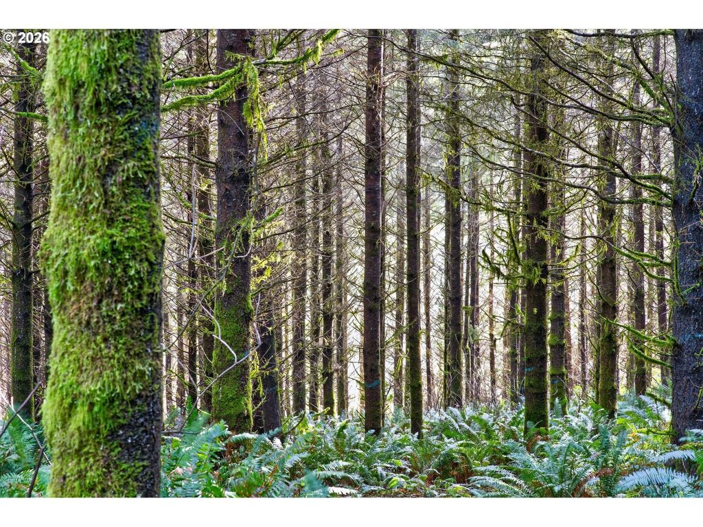 S Hwy 42, Coquille