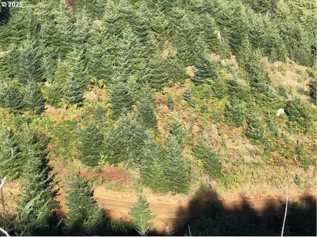 80788 Hamlet Rd, Seaside