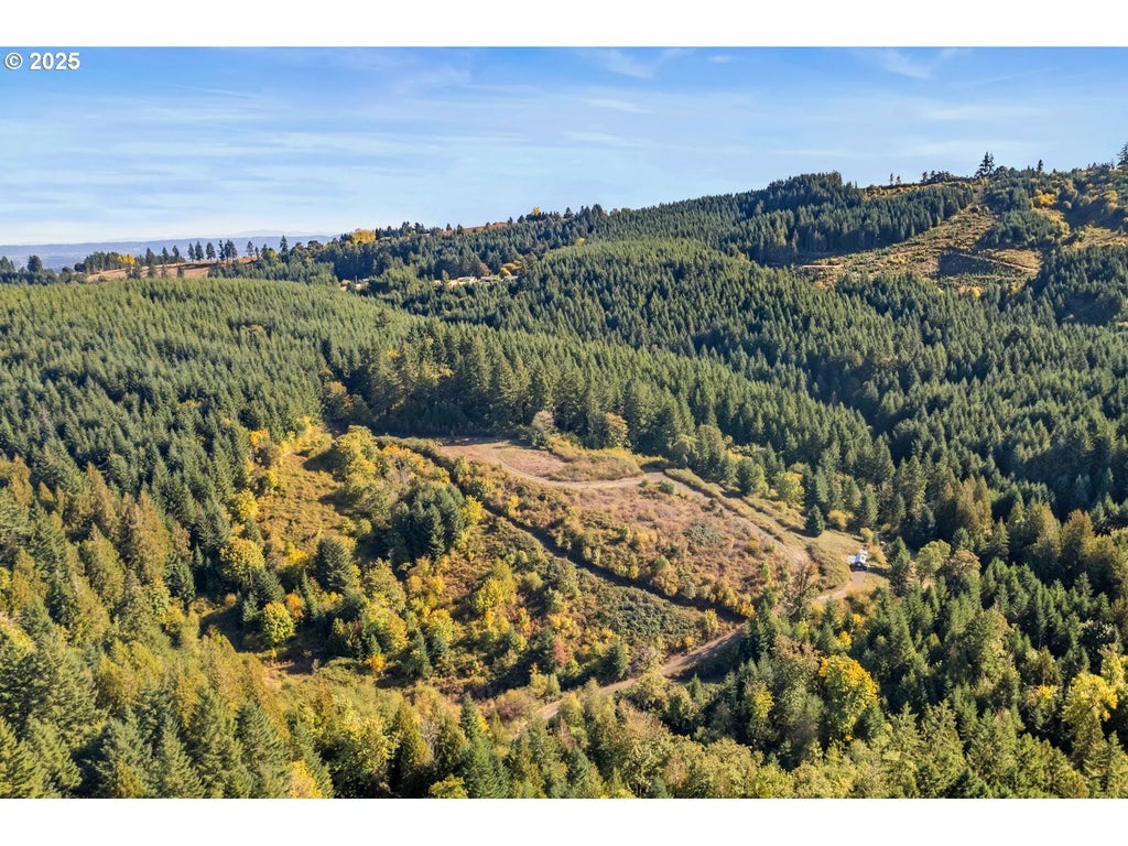 37251 Sw Thimbleberry Dr, Gaston