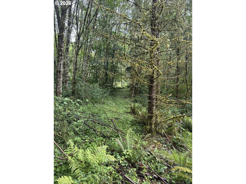 458 Ravenwood Rd 8, Kelso