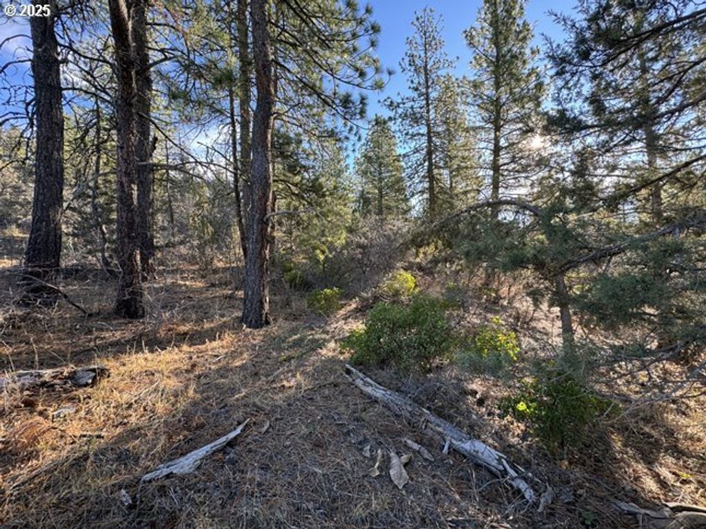 Hummingbird Dr 13, Bonanza