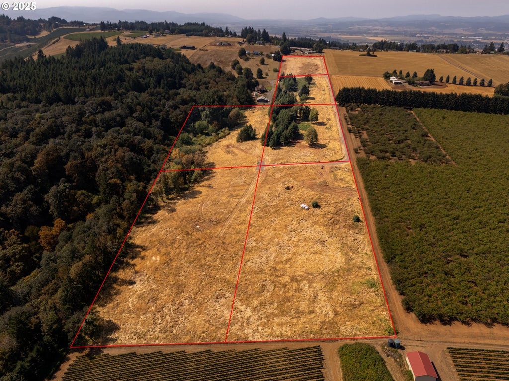 20 Franquette, Amity