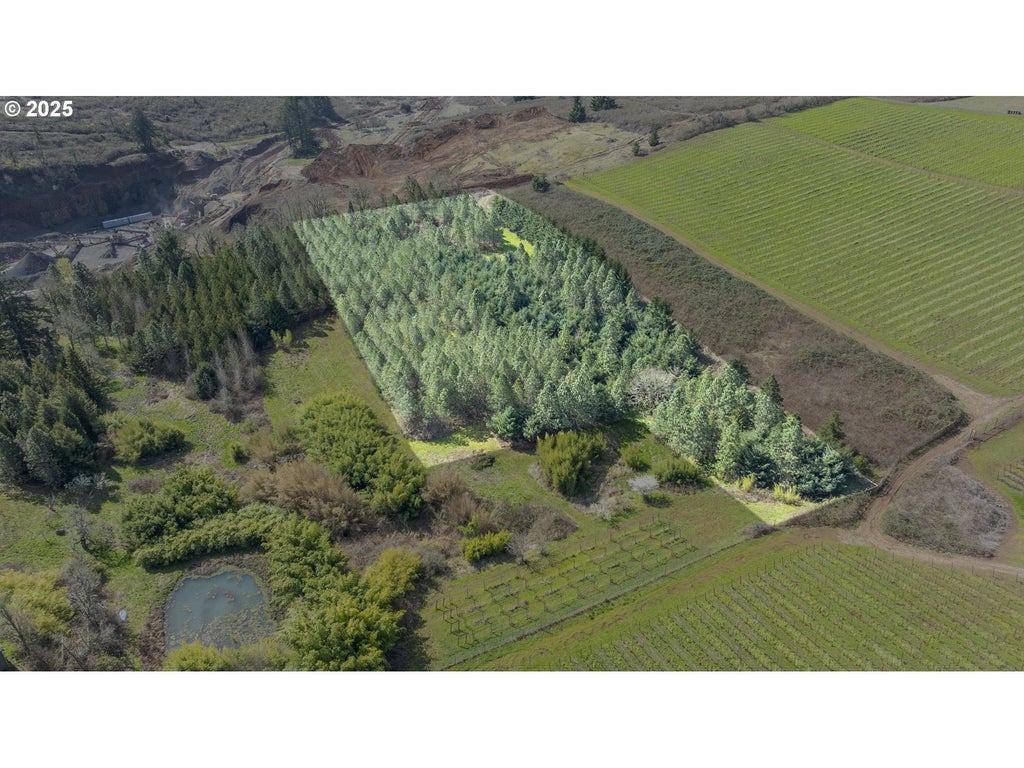 Three Trees Ln, Amity