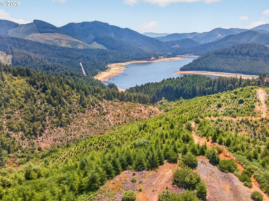 Upper Cow Creek Rd, Azalea