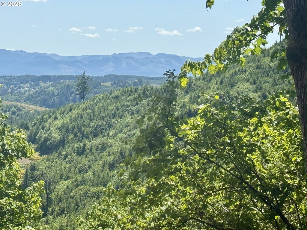 11896 Sw Dupee Valley Rd, McMinnville